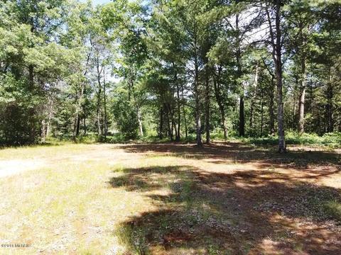 4352 S Astor Rd, Baldwin, MI 49304 photo 10