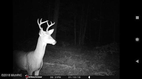 2266 S Forman Rd, Baldwin, MI 49304 photo 35