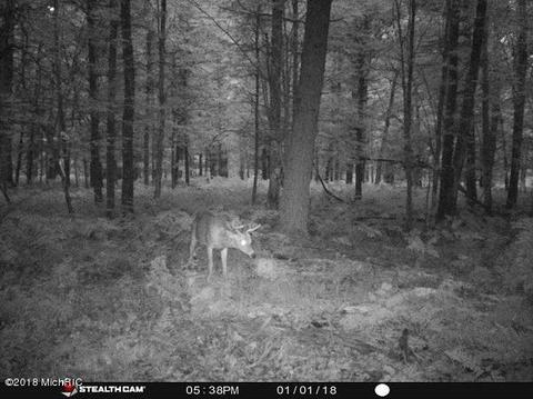 2266 S Forman Rd, Baldwin, MI 49304 photo 34