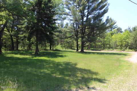 2266 S Forman Rd, Baldwin, MI 49304 photo 29