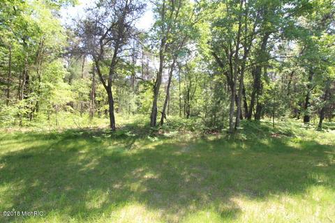 2266 S Forman Rd, Baldwin, MI 49304 photo 31