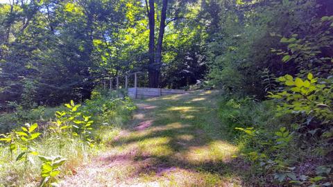 6591 Long Valley Rd, Custer, MI 49405 photo 57
