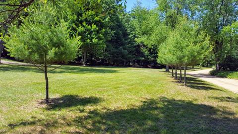 6591 Long Valley Rd, Custer, MI 49405 photo 8
