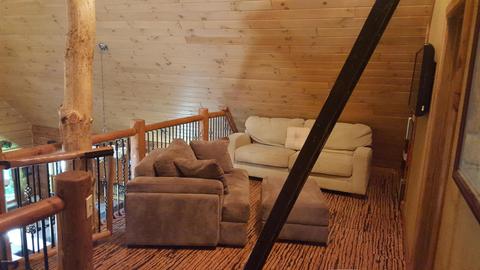 6591 Long Valley Rd, Custer, MI 49405 photo 39