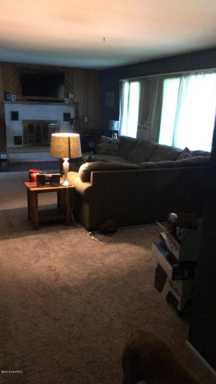2506 S Lyons Rd, Lyons, MI 48851 photo 9