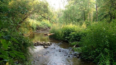 2506 S Lyons Rd, Lyons, MI 48851 photo 5