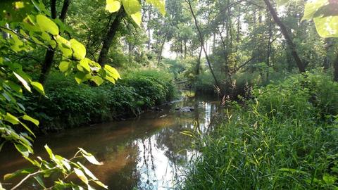 2506 S Lyons Rd, Lyons, MI 48851 photo 18