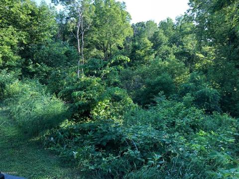 2506 S Lyons Rd, Lyons, MI 48851 photo 20