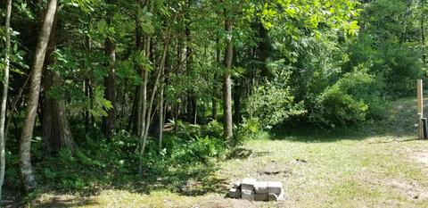 7866 E River Rd, Walkerville, MI 49459 photo 4