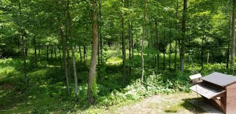7866 E River Rd, Walkerville, MI 49459 photo 38