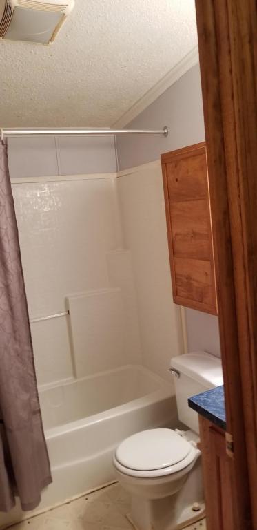 7866 E River Rd, Walkerville, MI 49459 photo 43