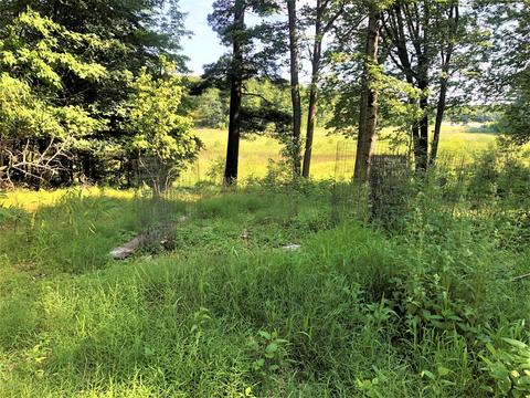 8568 W Gardner Rd, Baldwin, MI 49304 photo 25