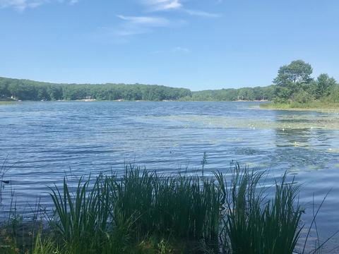 8568 W Gardner Rd, Baldwin, MI 49304 photo 6