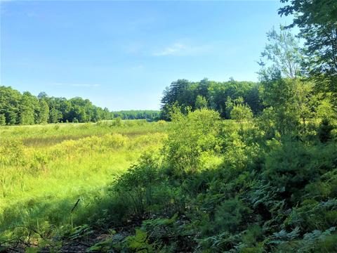 8568 W Gardner Rd, Baldwin, MI 49304 photo 18