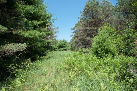 1865 E Pine Hill Ave, White Cloud, MI 49349 photo 15