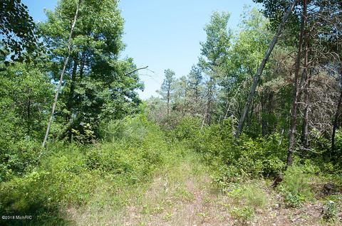 1865 E Pine Hill Ave, White Cloud, MI 49349 photo 42