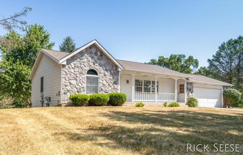13176 Shutter Dr SE, Lowell, MI 49331 photo 1