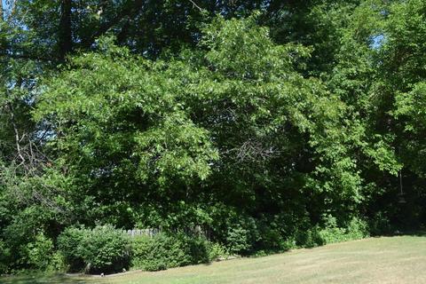65015 Cassopolis Rd, Cassopolis, MI 49031 photo 51