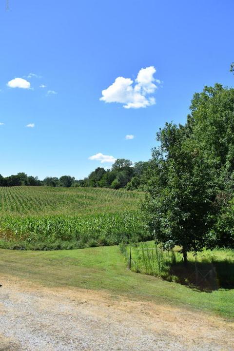 65015 Cassopolis Rd, Cassopolis, MI 49031 photo 63