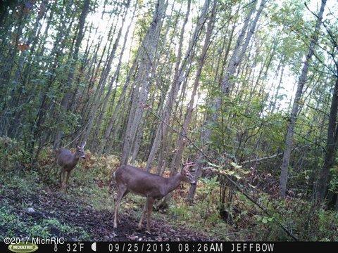 2456 Edmonds Rd, Turner, MI 48765 photo 34