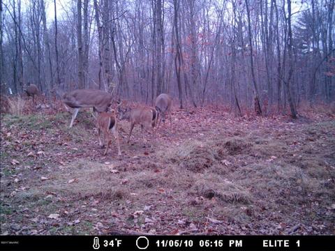 2456 Edmonds Rd, Turner, MI 48765 photo 3