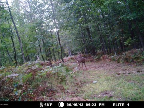 2456 Edmonds Rd, Turner, MI 48765 photo 16