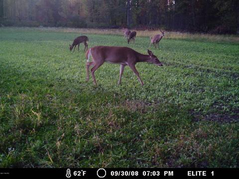 2456 Edmonds Rd, Turner, MI 48765 photo 13