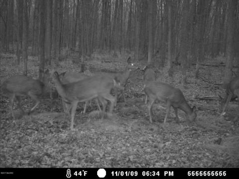 2456 Edmonds Rd, Turner, MI 48765 photo 7