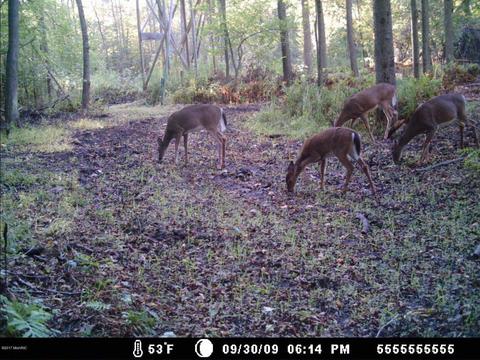 2456 Edmonds Rd, Turner, MI 48765 photo 5