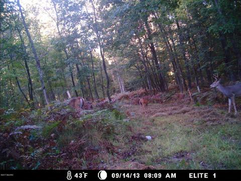 2456 Edmonds Rd, Turner, MI 48765 photo 9