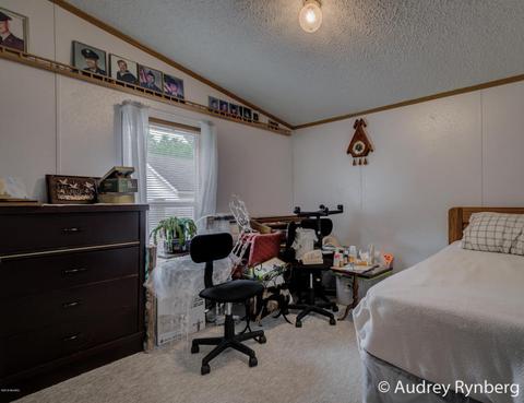 3143 S Locust Ave, White Cloud, MI 49349 photo 21