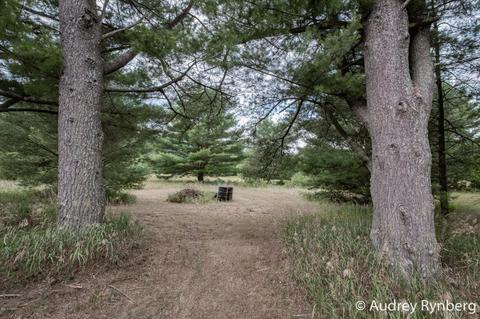 3143 S Locust Ave, White Cloud, MI 49349 photo 27