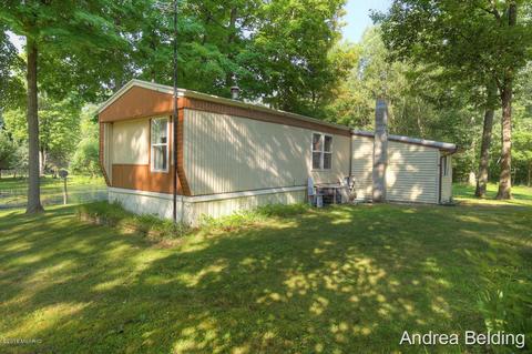 4229 E Shore Dr, Stanton, MI 48888 photo 3