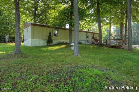 4229 E Shore Dr, Stanton, MI 48888 photo 19