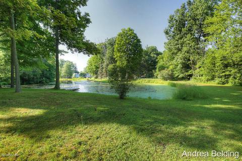 4229 E Shore Dr, Stanton, MI 48888 photo 20