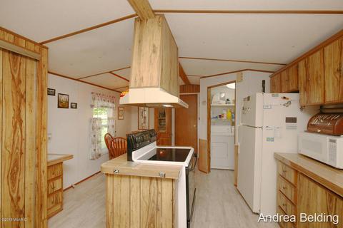 4229 E Shore Dr, Stanton, MI 48888 photo 10