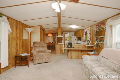 4229 E Shore Dr, Stanton, MI 48888 photo 6