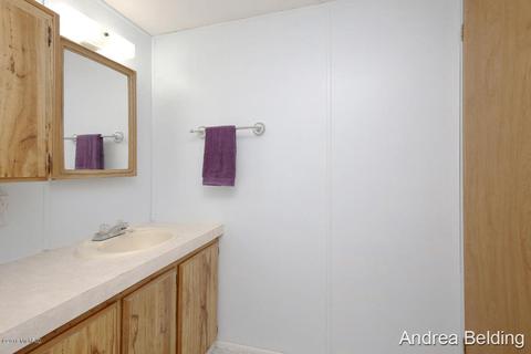 4229 E Shore Dr, Stanton, MI 48888 photo 14