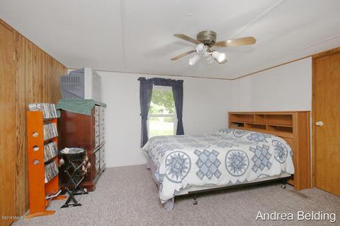 4229 E Shore Dr, Stanton, MI 48888 photo 13