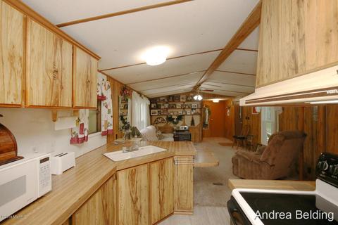 4229 E Shore Dr, Stanton, MI 48888 photo 8
