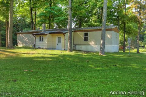4229 E Shore Dr, Stanton, MI 48888 photo 2