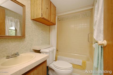 4229 E Shore Dr, Stanton, MI 48888 photo 16