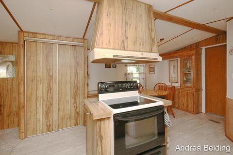 4229 E Shore Dr, Stanton, MI 48888 photo 11