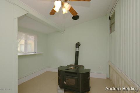 4229 E Shore Dr, Stanton, MI 48888 photo 17