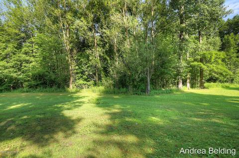 4229 E Shore Dr, Stanton, MI 48888 photo 21