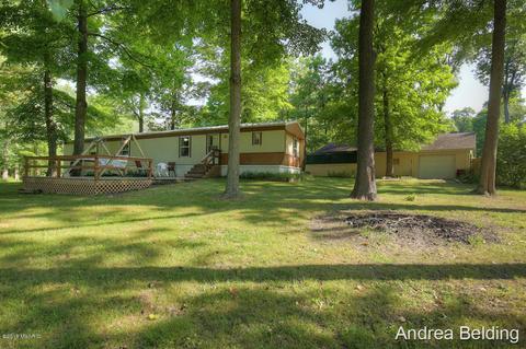 4229 E Shore Dr, Stanton, MI 48888 photo 18