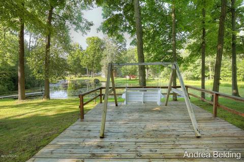 4229 E Shore Dr, Stanton, MI 48888 photo 22