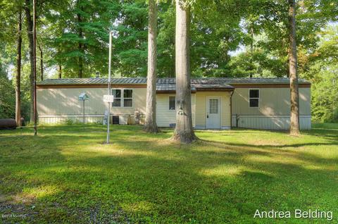 4229 E Shore Dr, Stanton, MI 48888 photo 1