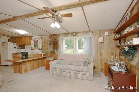 4229 E Shore Dr, Stanton, MI 48888 photo 5