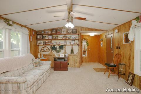 4229 E Shore Dr, Stanton, MI 48888 photo 4